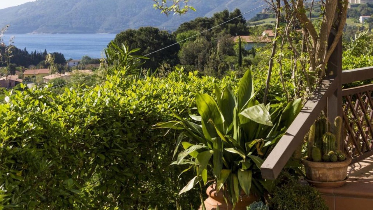 Photo of Outdoor in Porto Azzurro