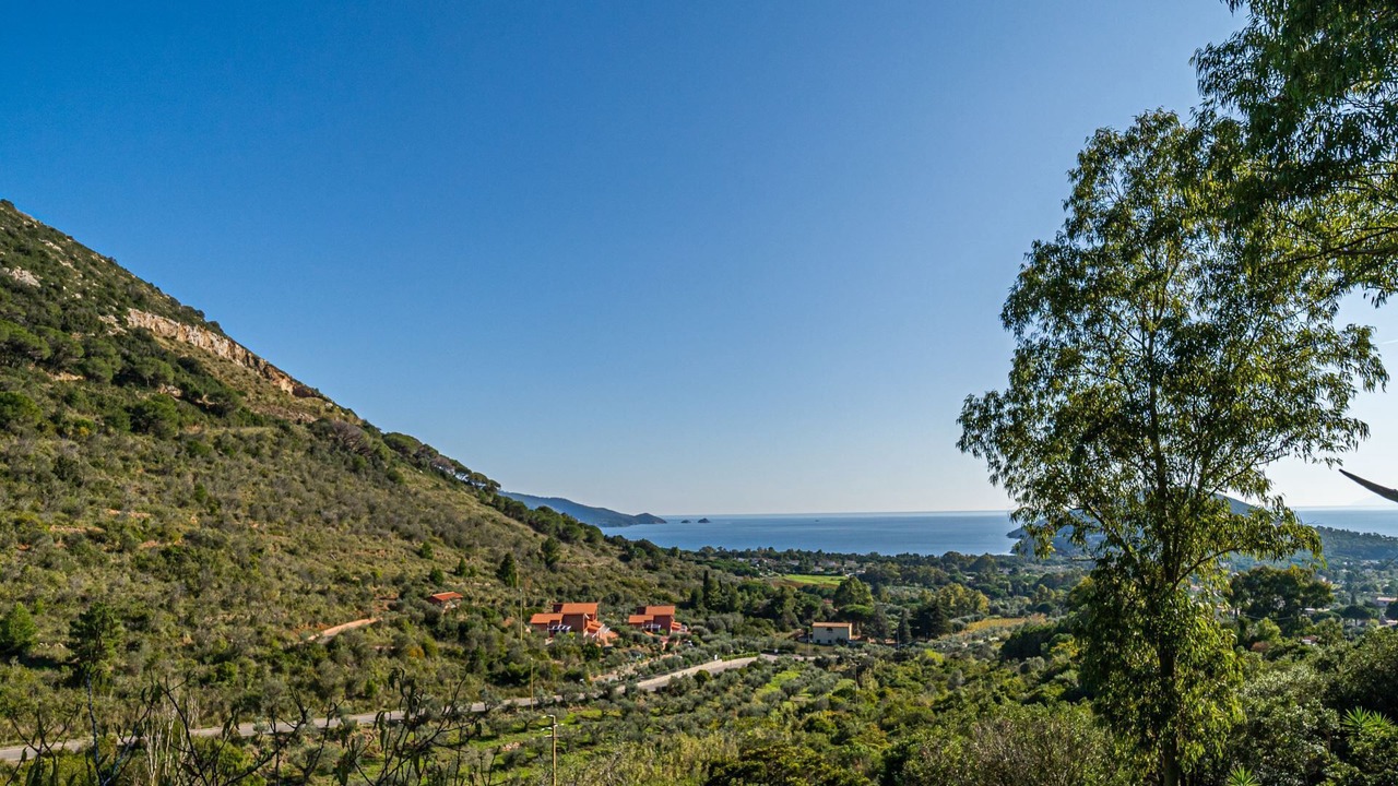 Photo of Others in Lacona