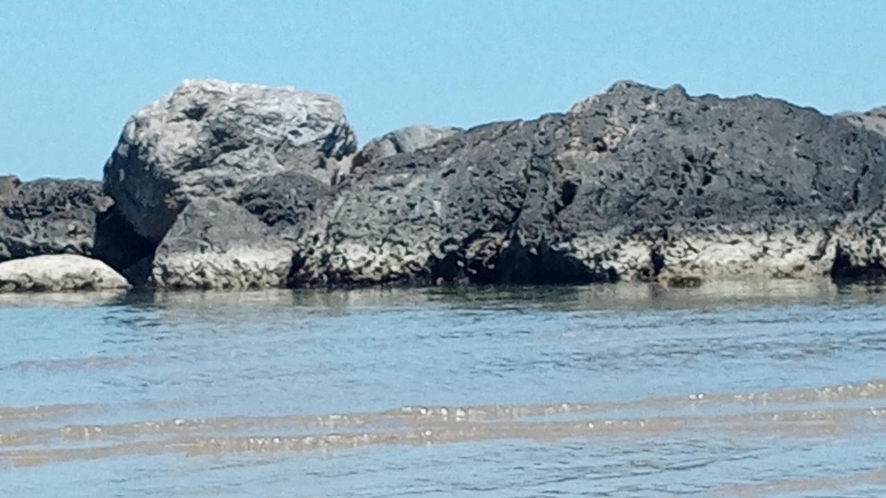 Photo of Others in Montesilvano