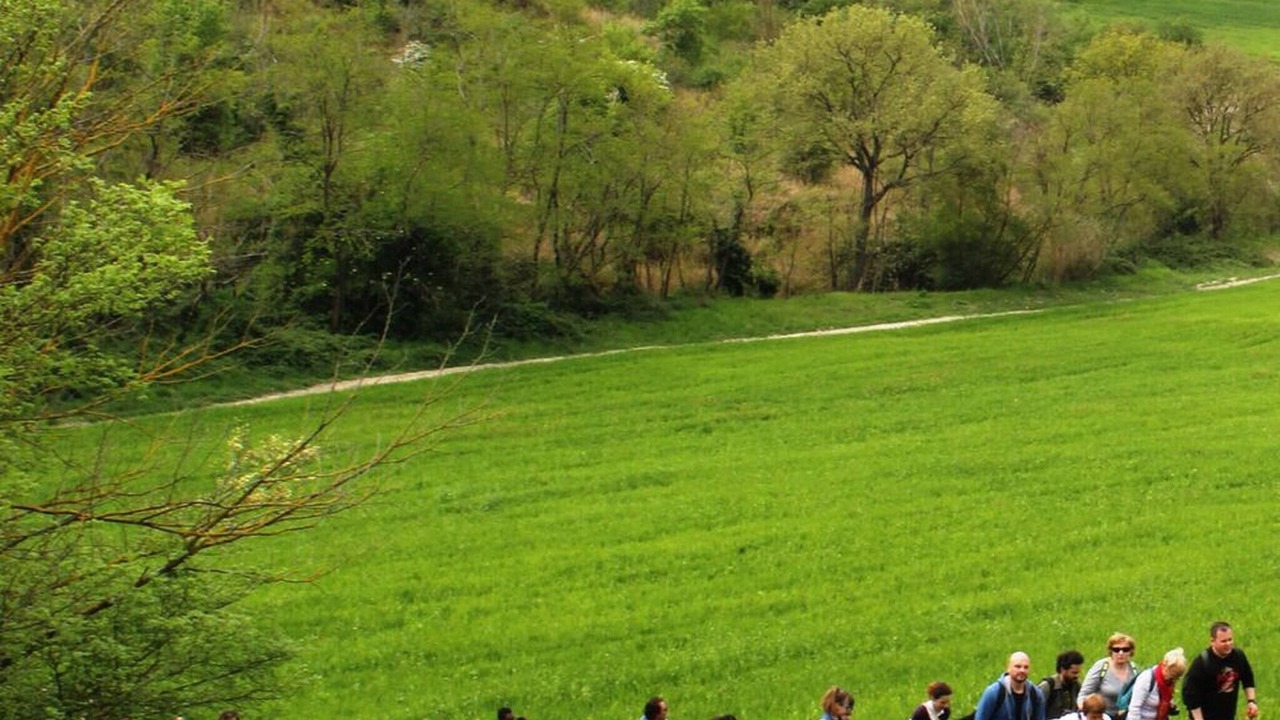 Photo of Others in Pomarance