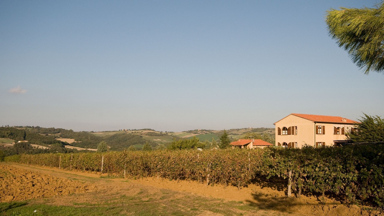 Photo of Outdoor in Pomarance