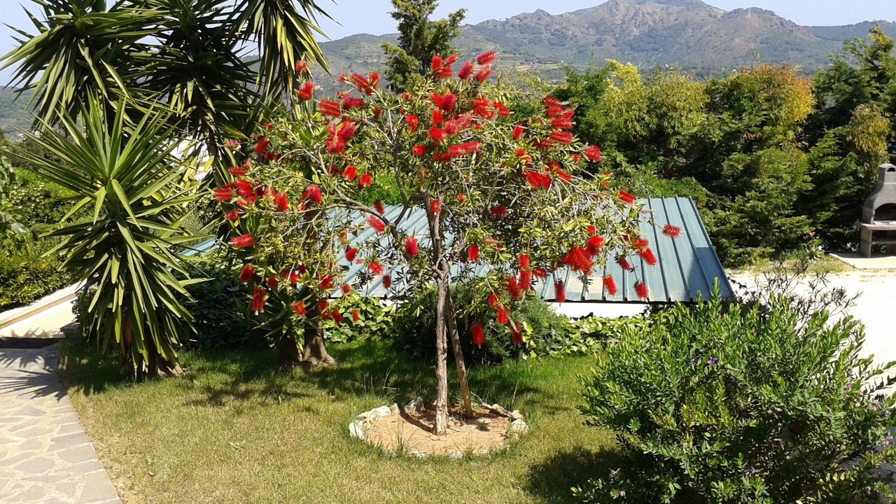 Photo of Outdoor in Capoliveri