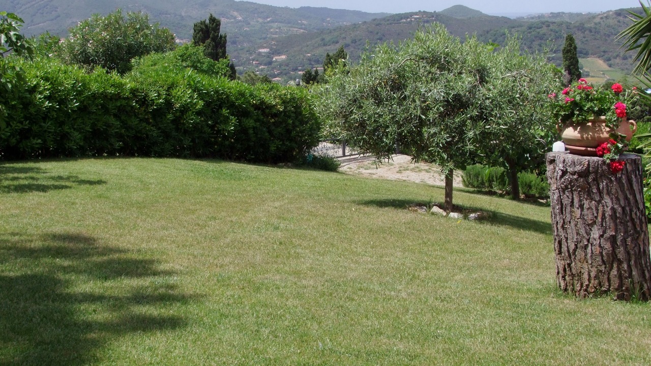 Photo of Outdoor in Capoliveri