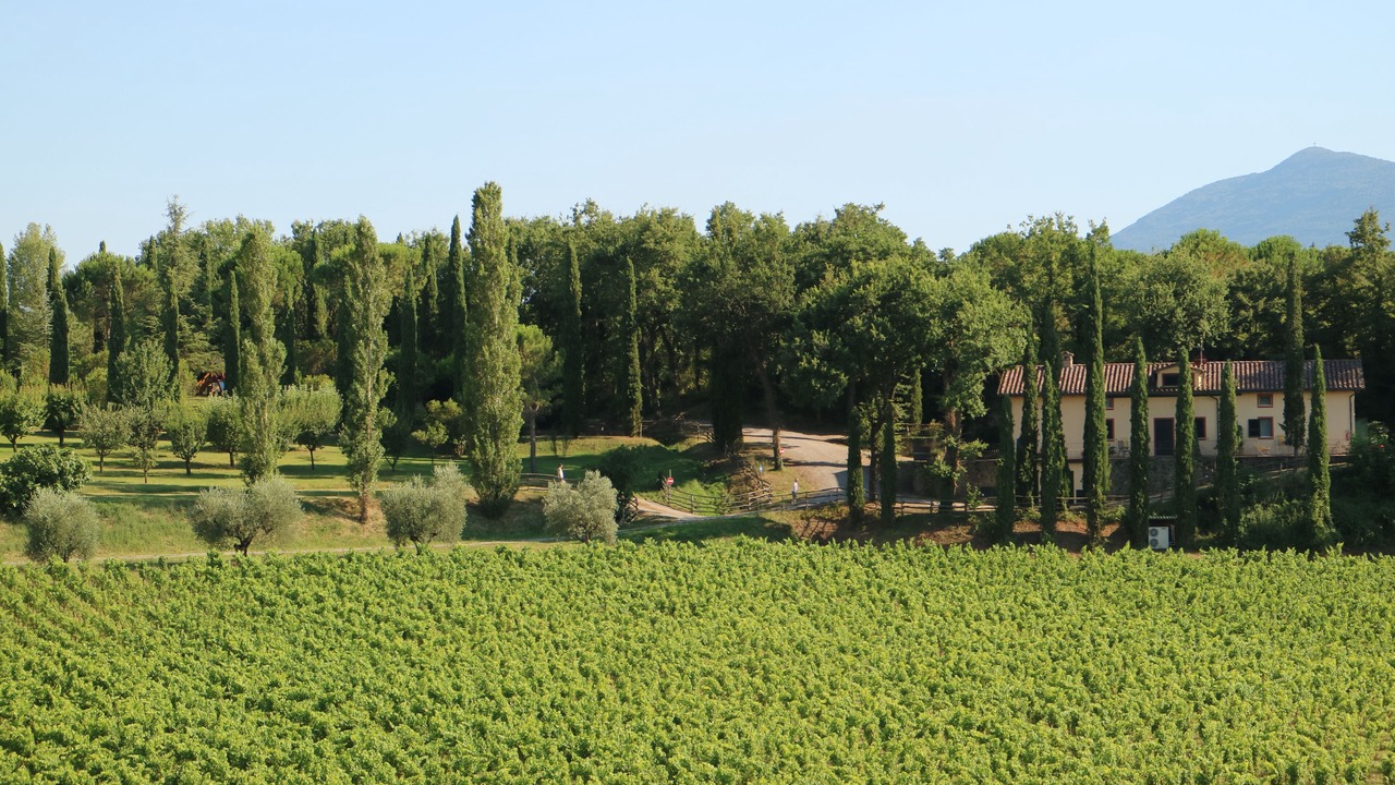 Photo of Outdoor in Sarteano
