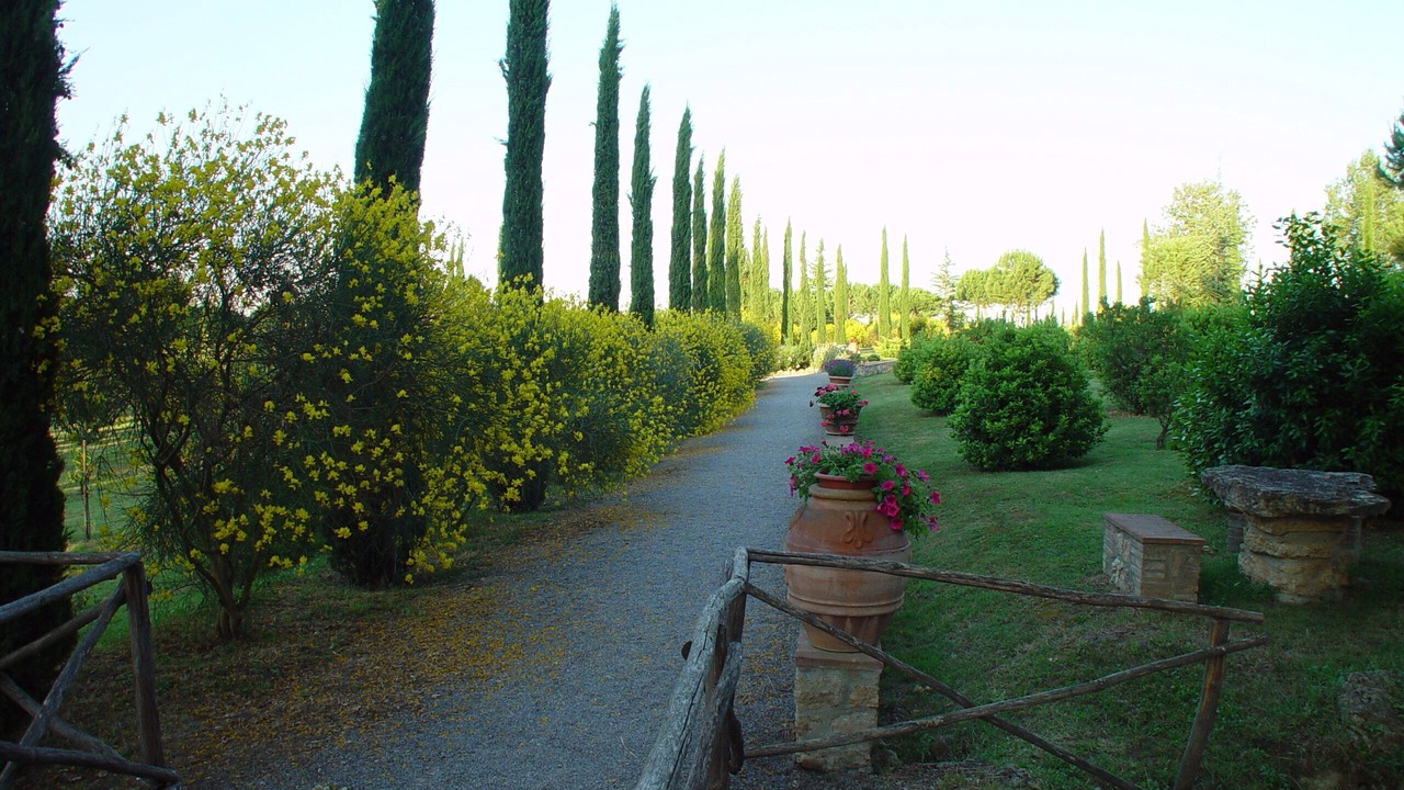 Photo of Outdoor in Sarteano
