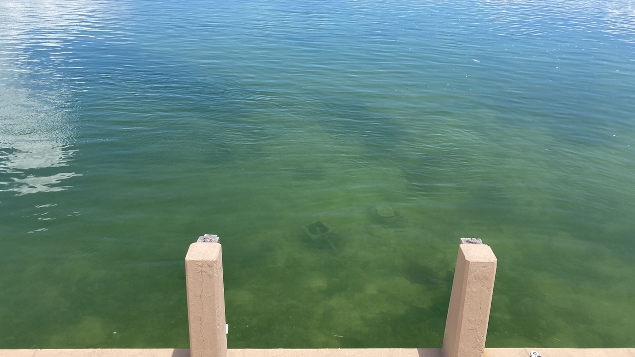 Photo of Others in Cudjoe Key