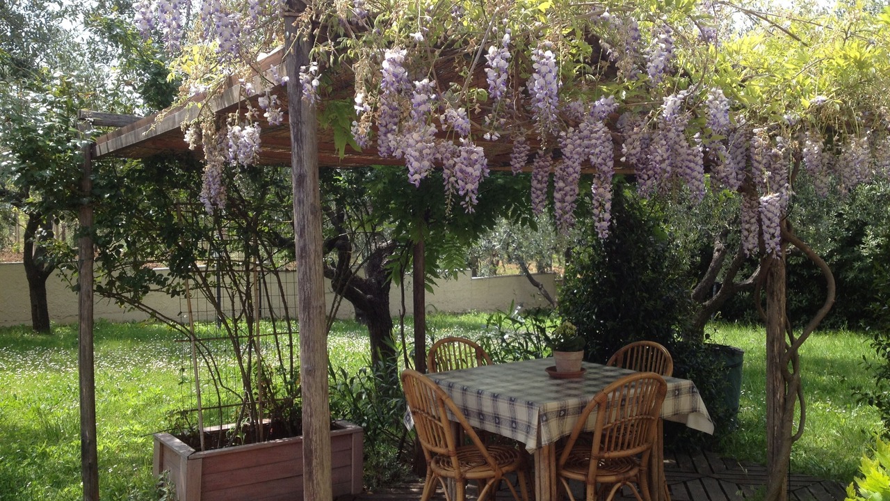 Photo of Outdoor in Tollo