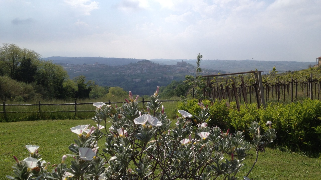 Photo of Outdoor in Tollo