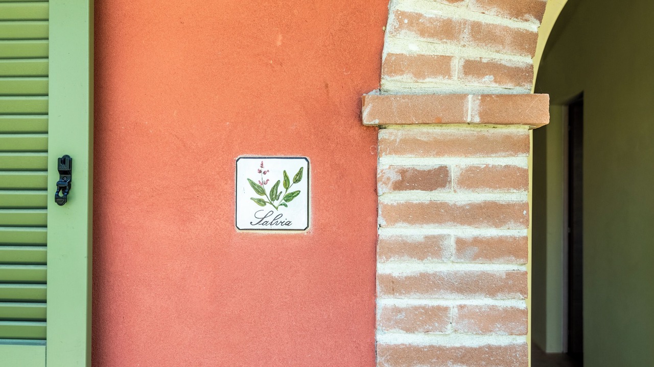 Photo of Outdoor in Trequanda
