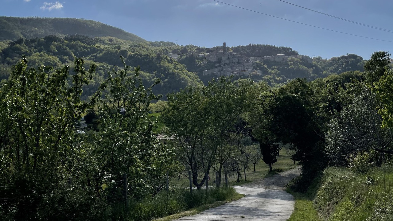 Photo of Others in Castelnuovo di Val di Cecina