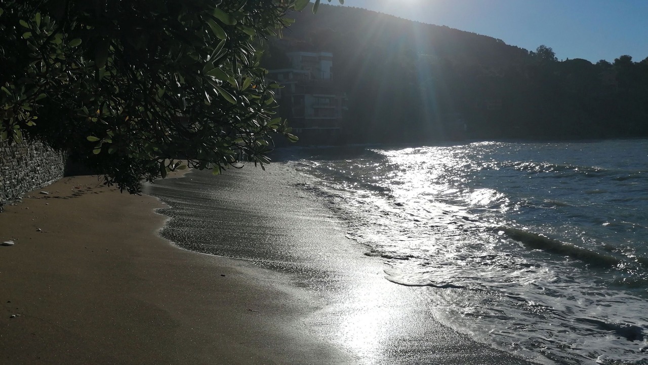 Photo of Others in Lerici
