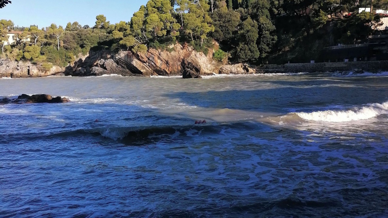 Photo of Others in Lerici