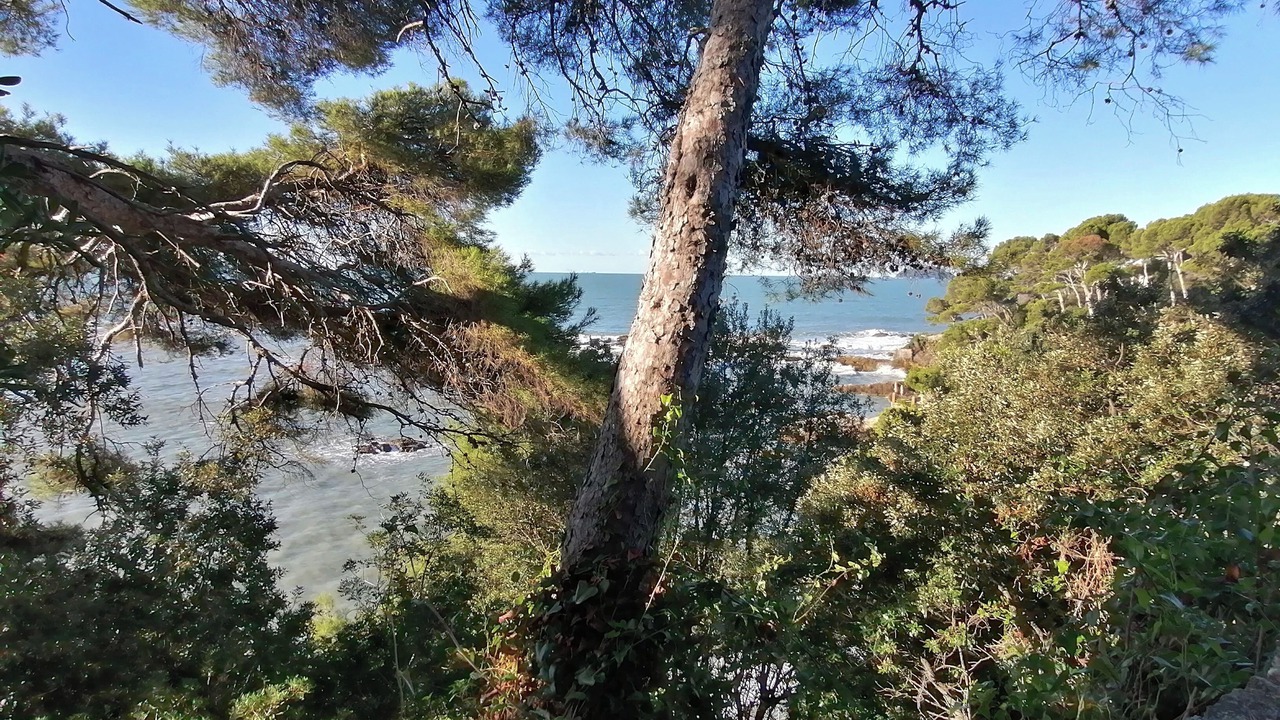 Photo of Others in Lerici