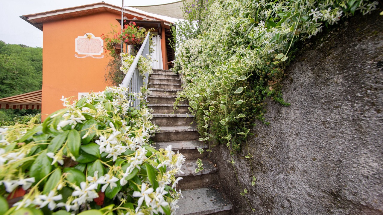 Photo of Outdoor in Nozanno