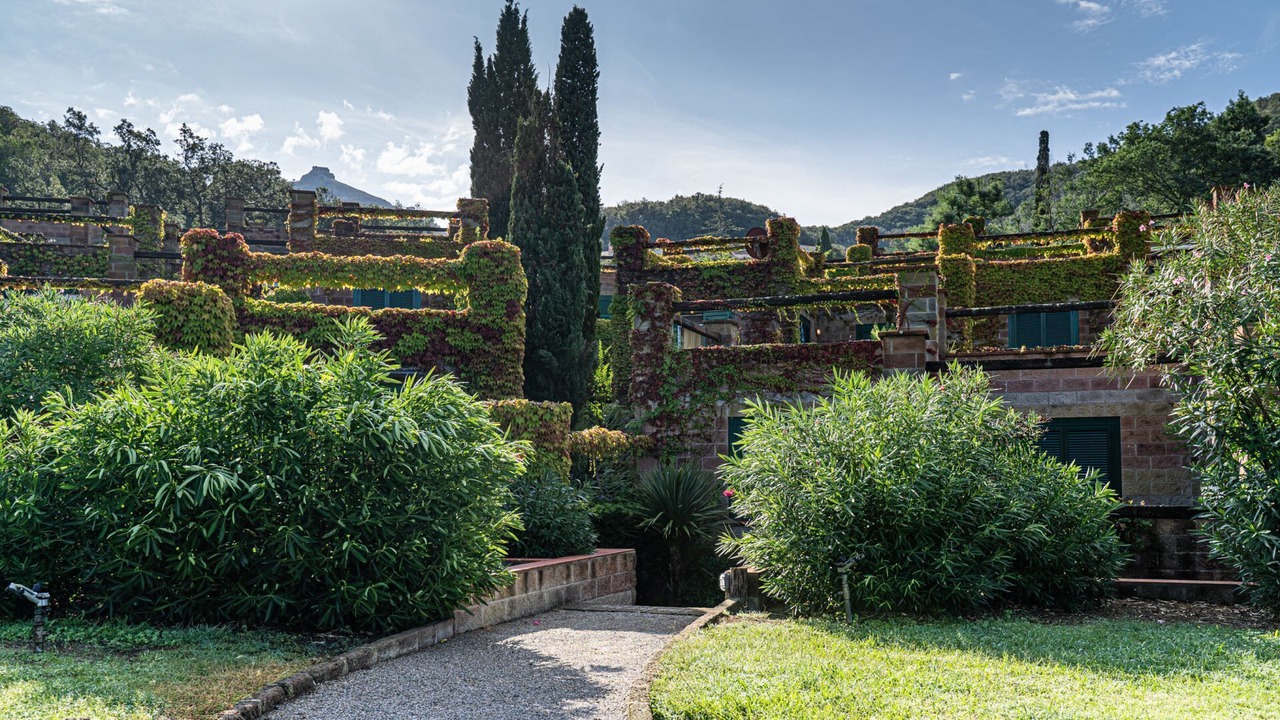 Photo of Outdoor in Bagnaia