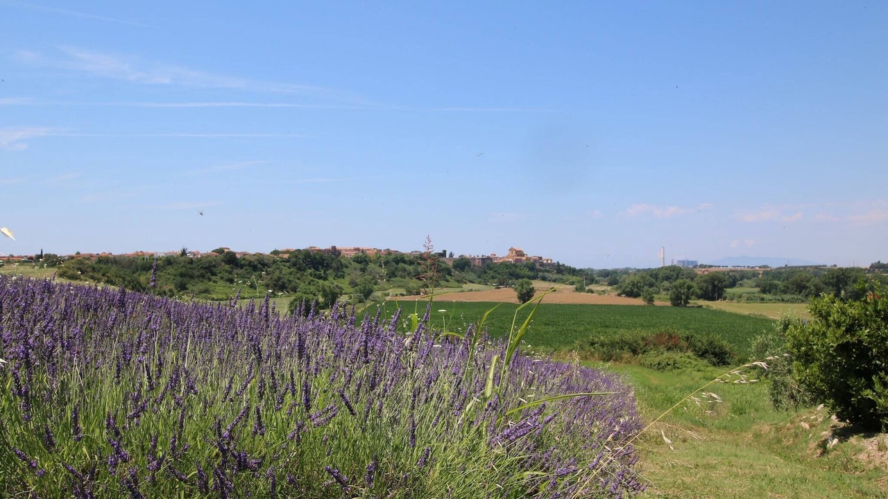 Photo of Outdoor in Montalto di Castro