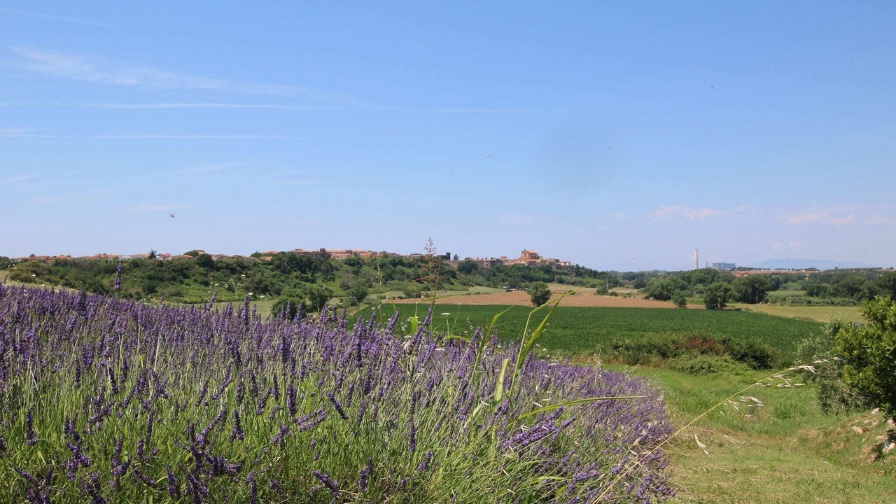 Photo of Outdoor in Montalto di Castro