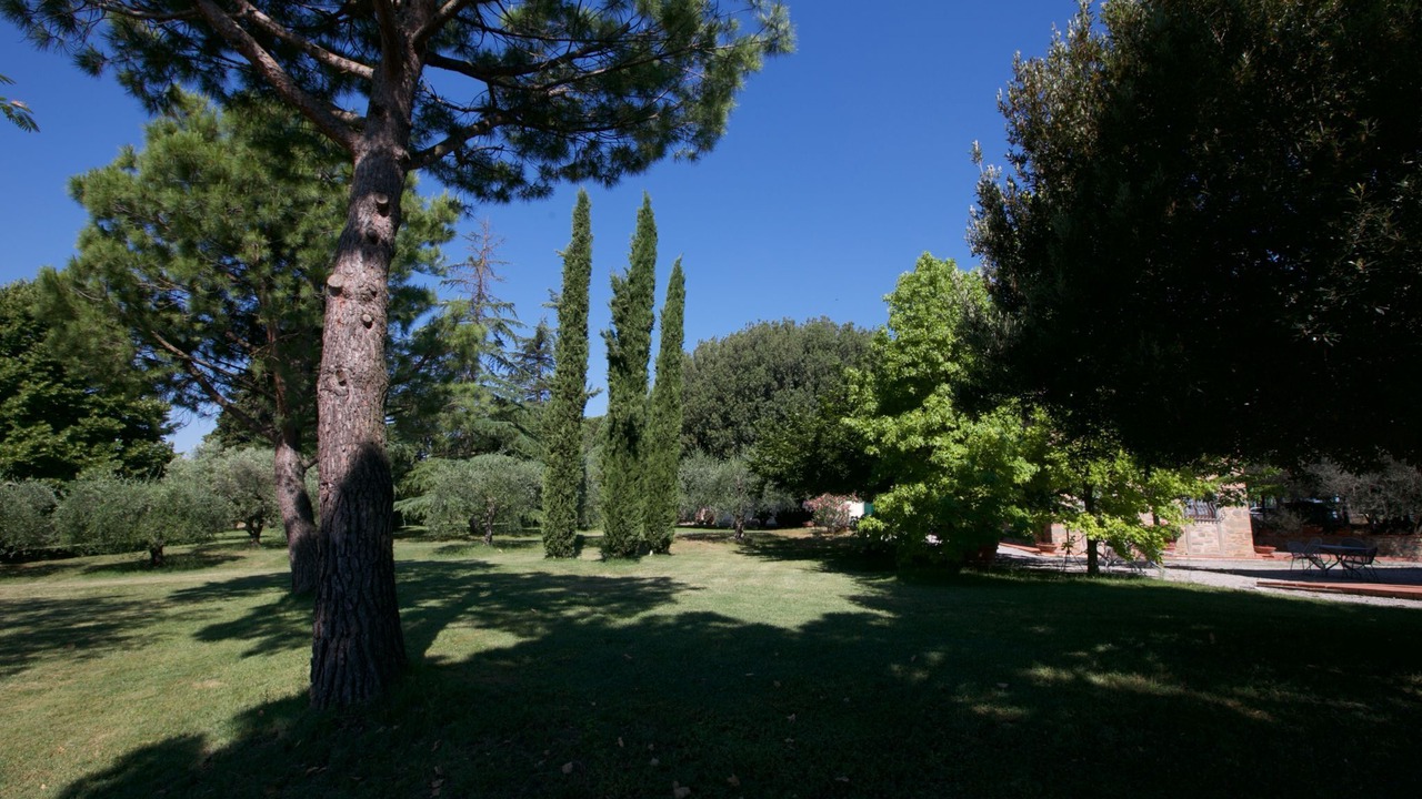 Photo of Outdoor in Cortona