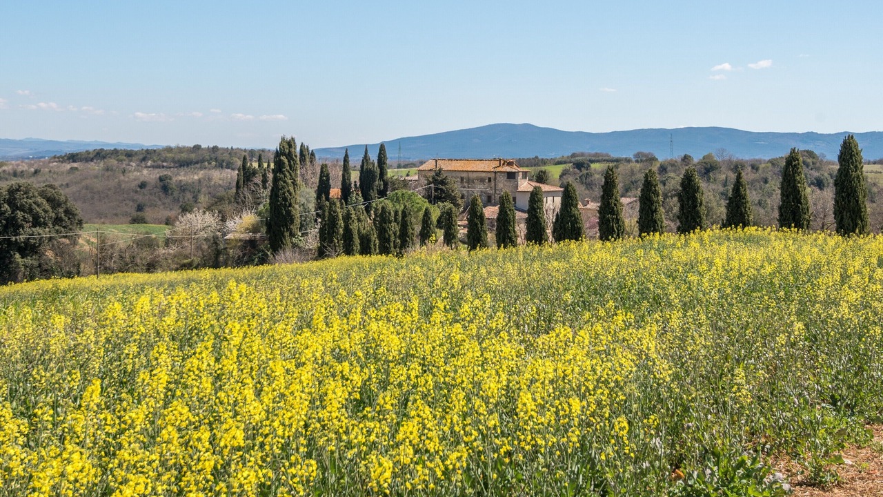 Photo of Others in Colle di Val d'Elsa
