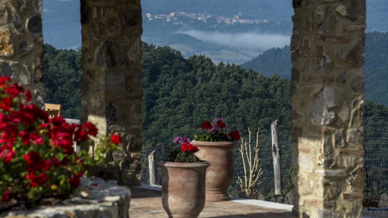 Photo of Others in Trevinano