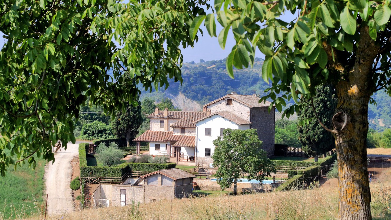 Photo of Outdoor in Corbara