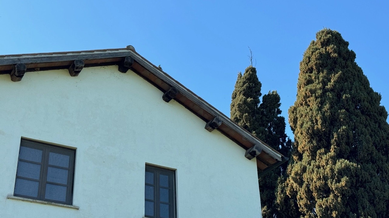 Photo of Outdoor in Corbara