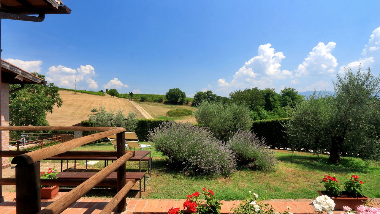 Photo of Outdoor in Corbara