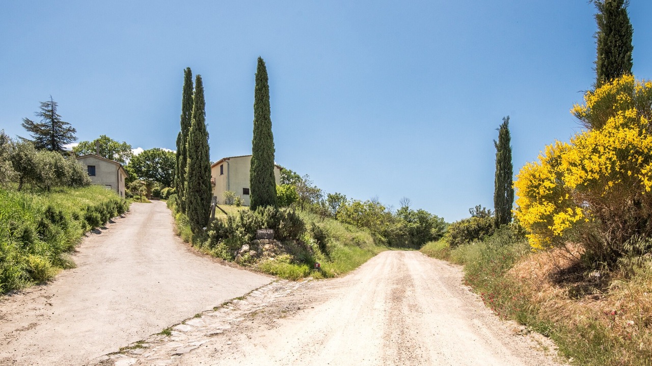 Photo of Others in Castiglione d'Orcia