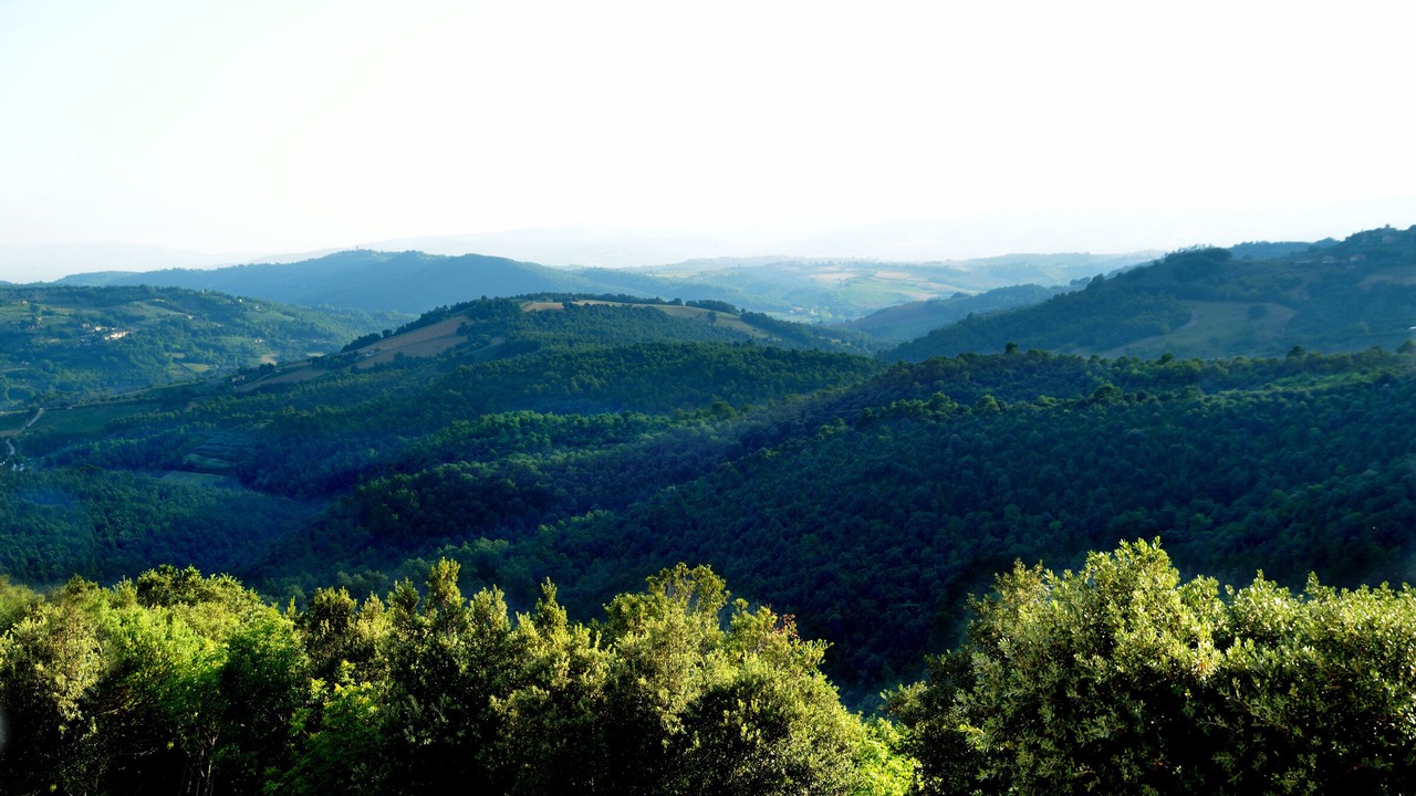 Photo of Others in Gualdo Cattaneo