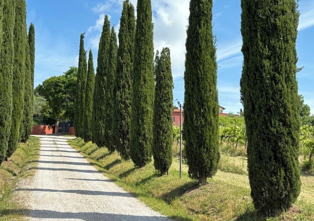 Photo of Outdoor in Agello