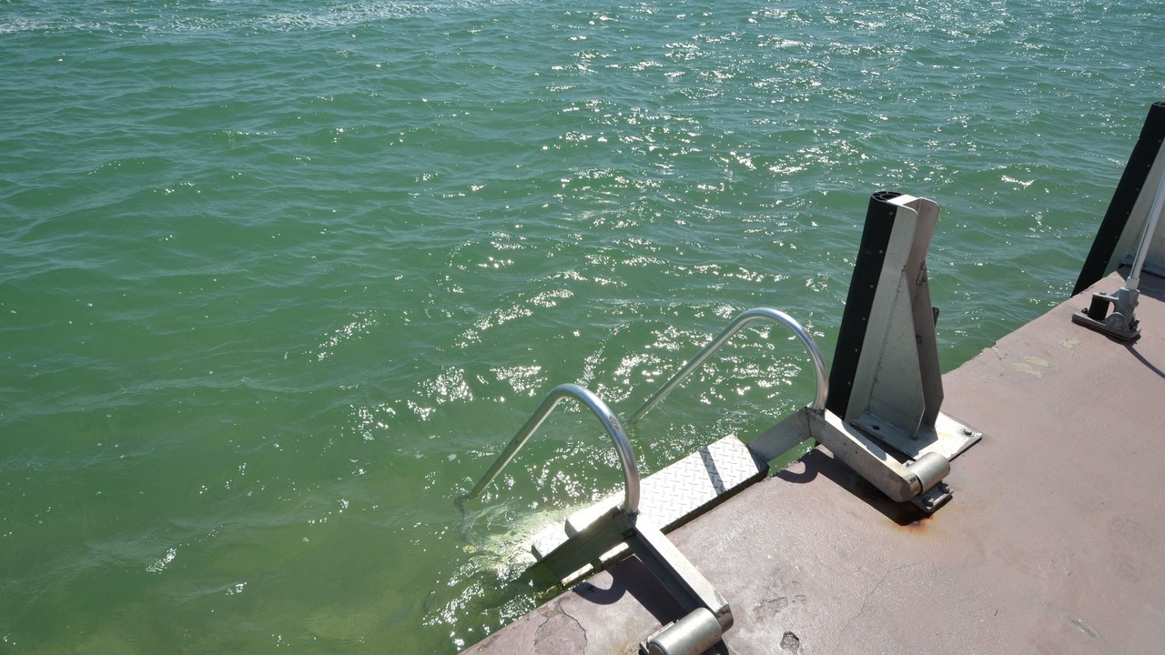 Photo of Others in Cudjoe Key