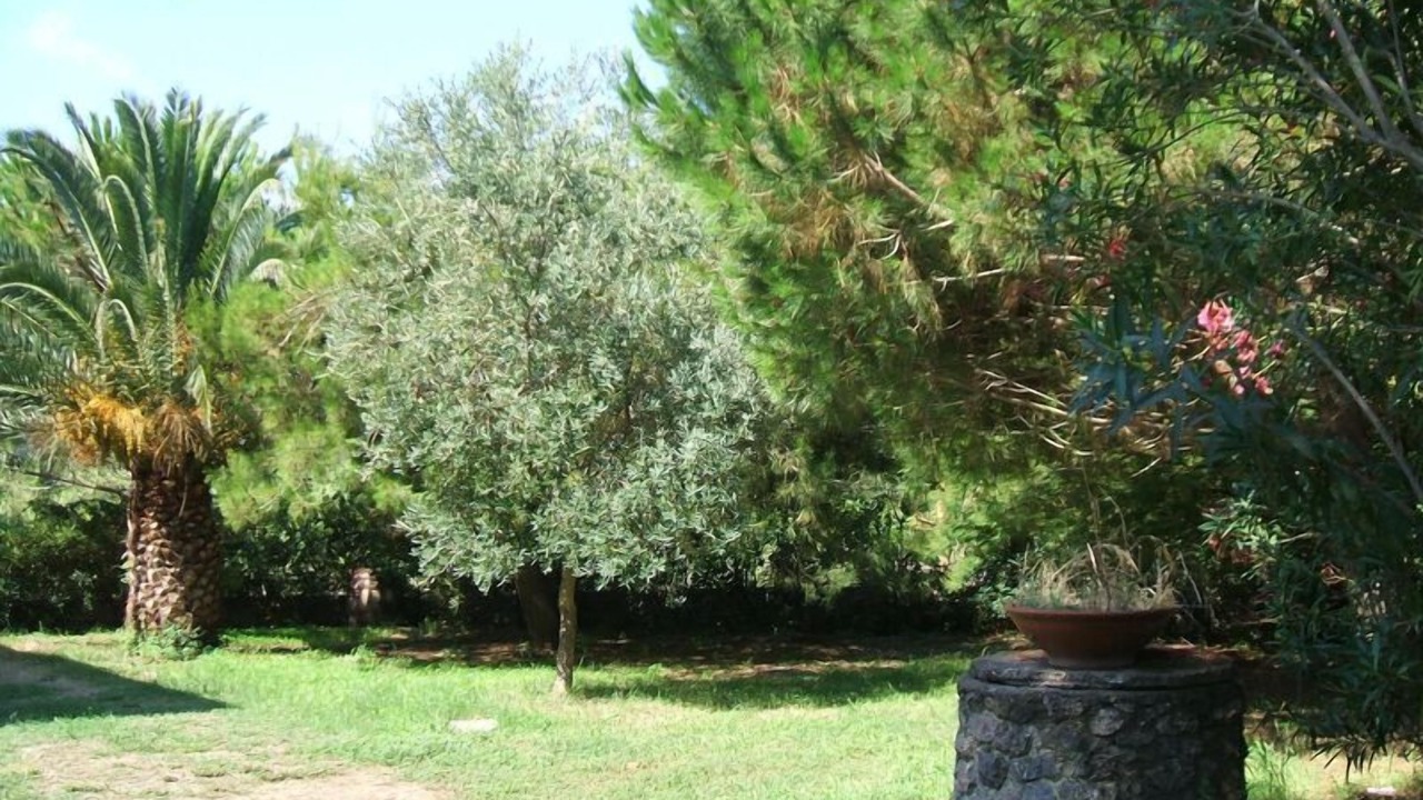 Photo of Outdoor in Giannella