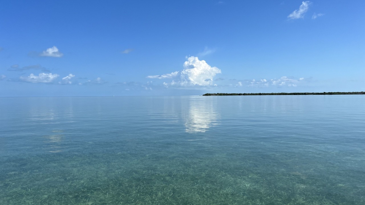 Photo of Others in Summerland Key