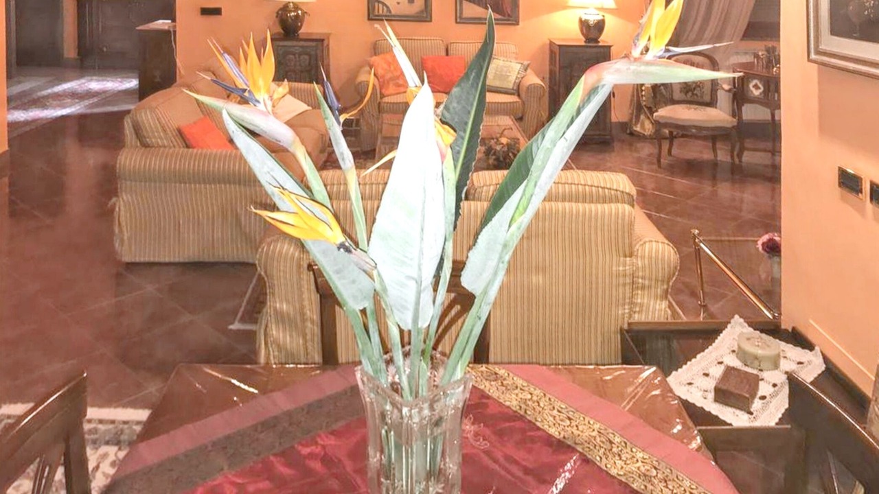 Photo of Livingroom in Ladispoli