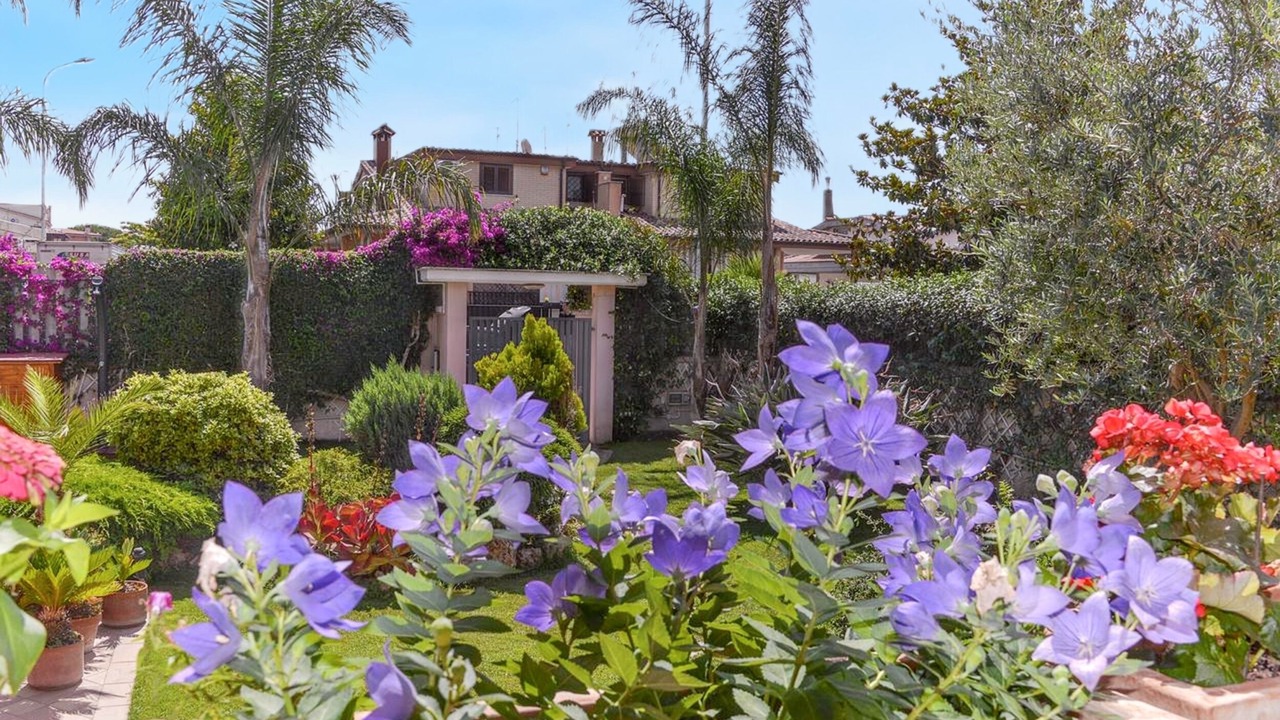 Photo of Outdoor in Ladispoli