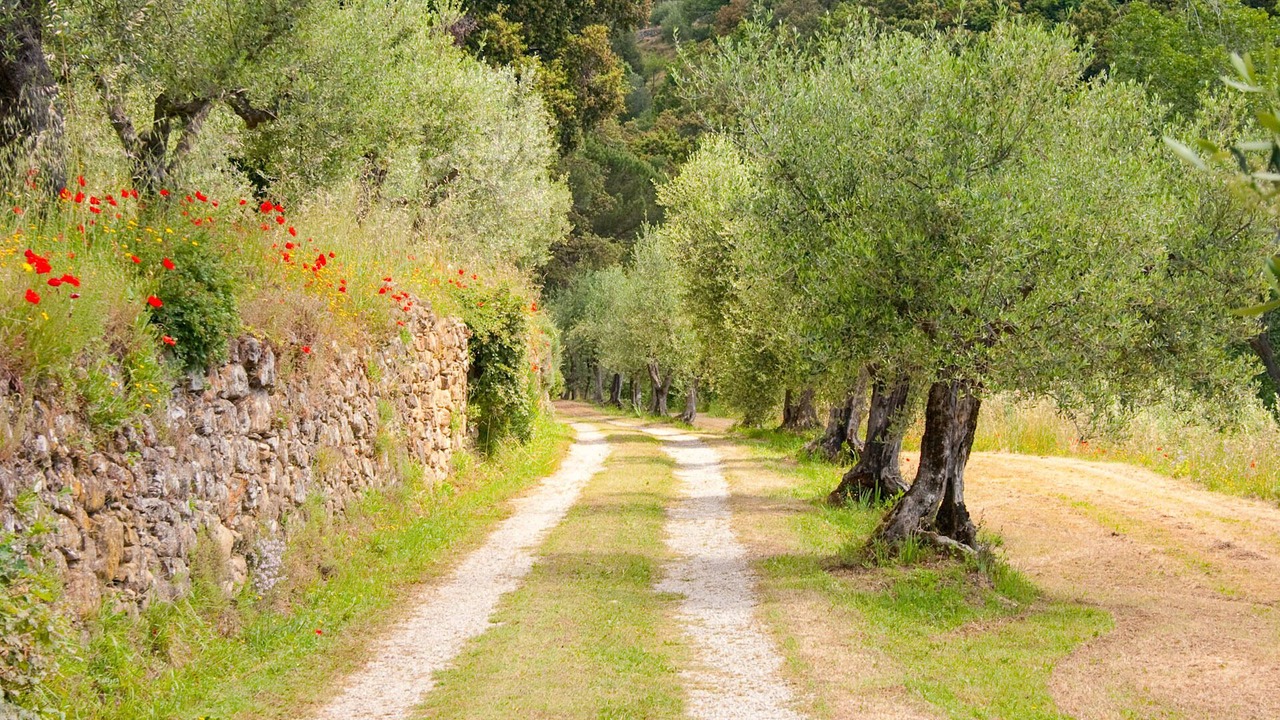 Photo of Outdoor in Cortona