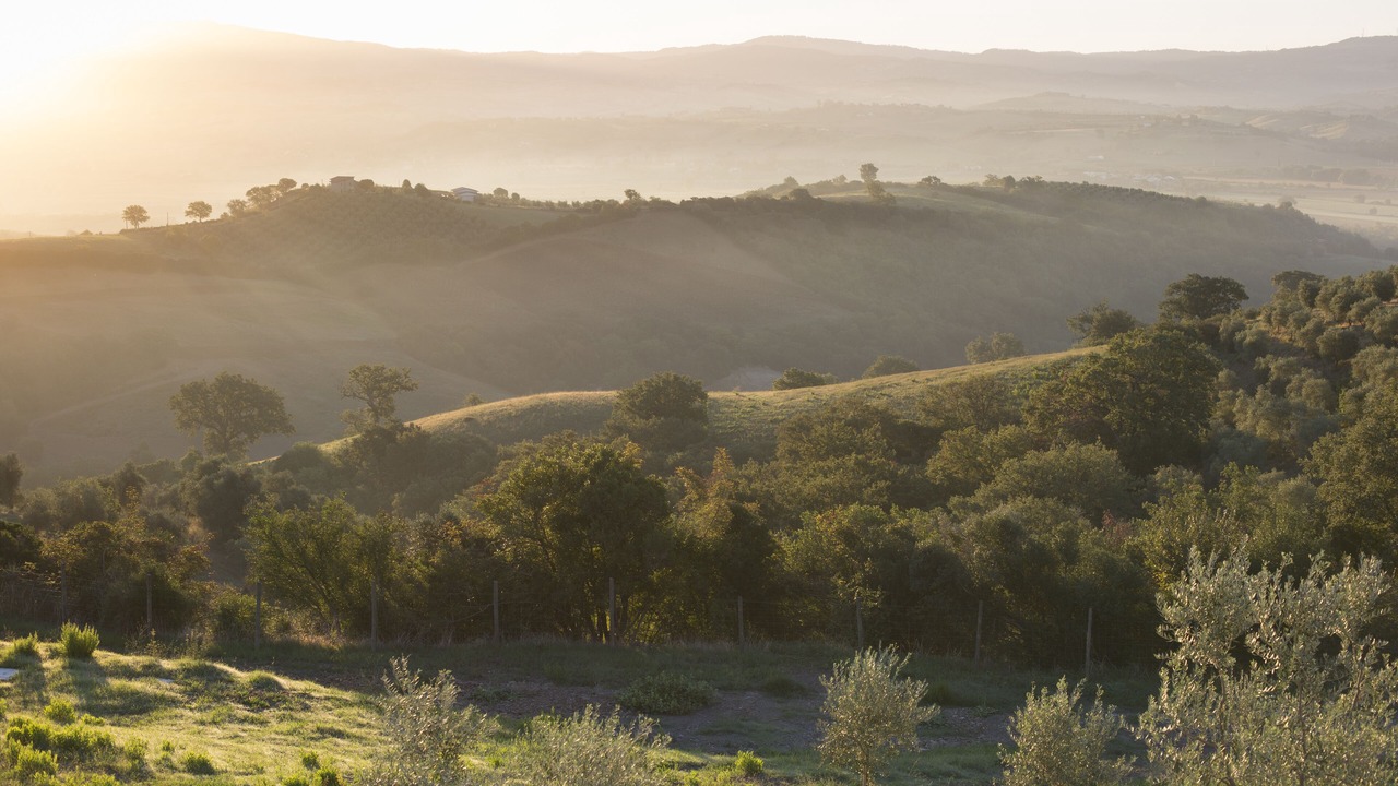 Photo of Outdoor in Campagnatico