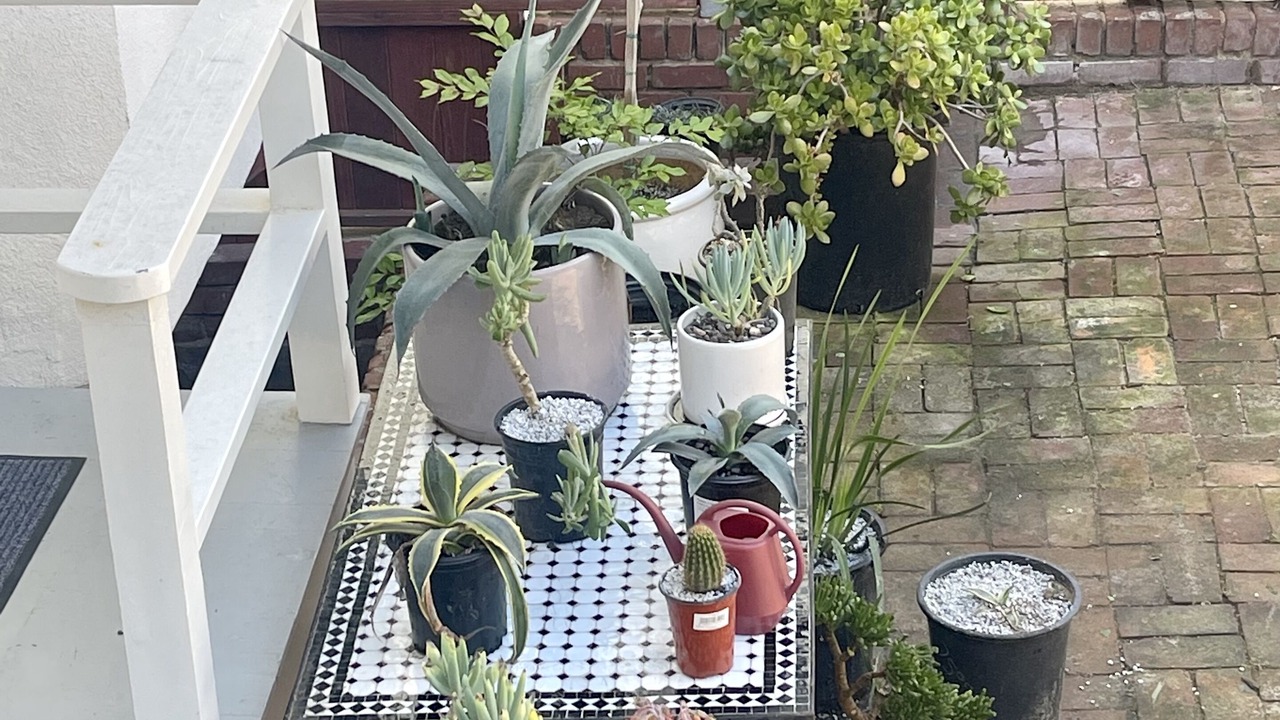 Photo of Patio Balcony in Sand Section