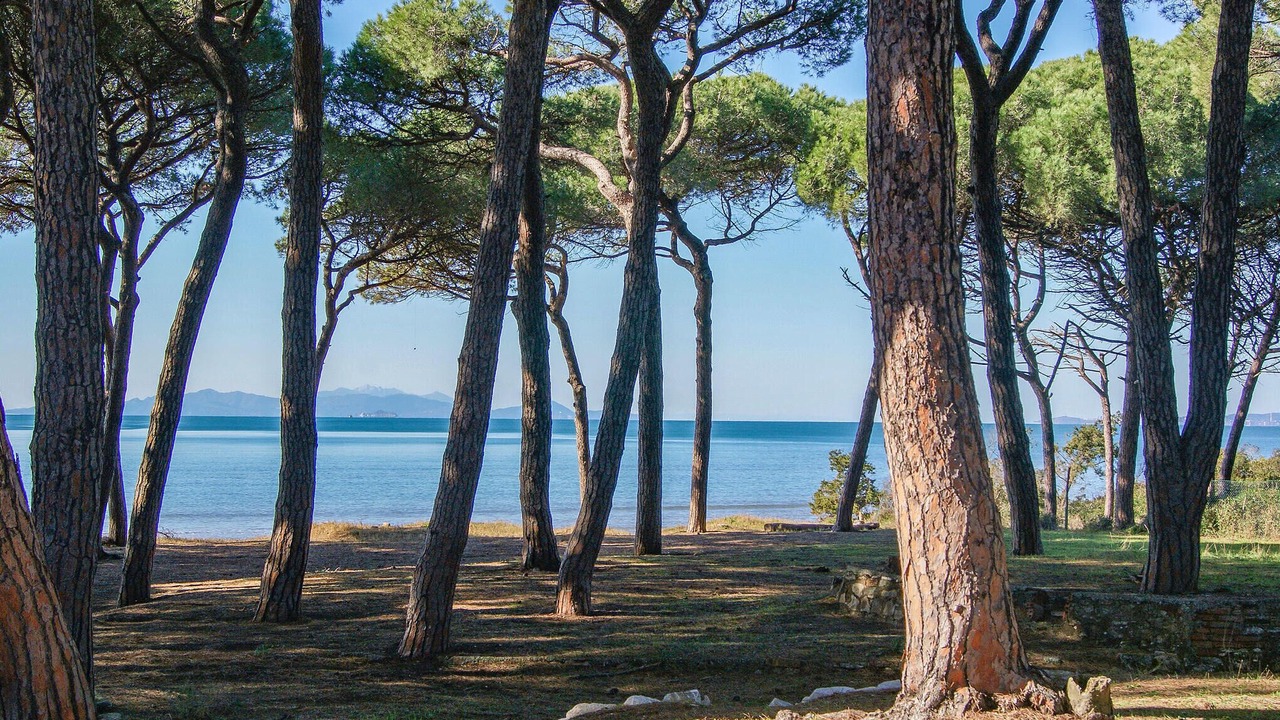 Photo of Others in Piombino