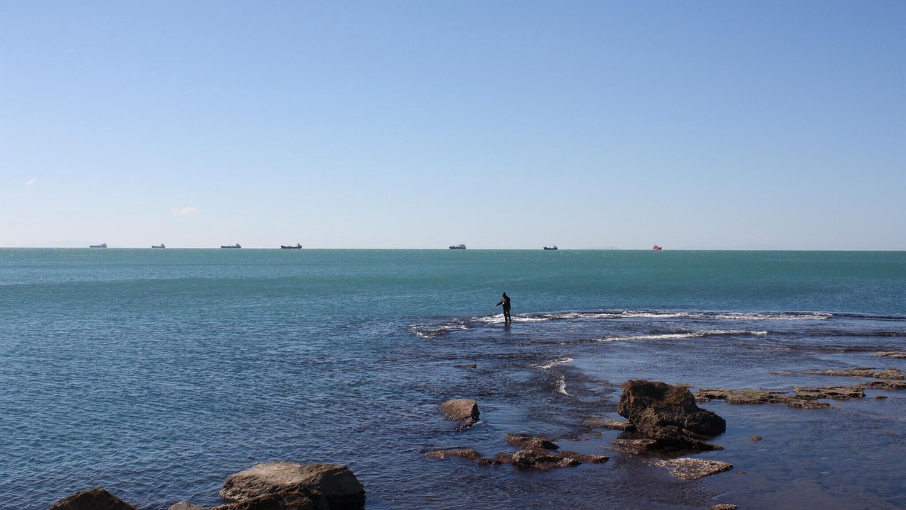 Photo of Others in Piombino