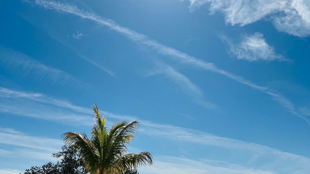 Photo of Outdoor in Cudjoe Key