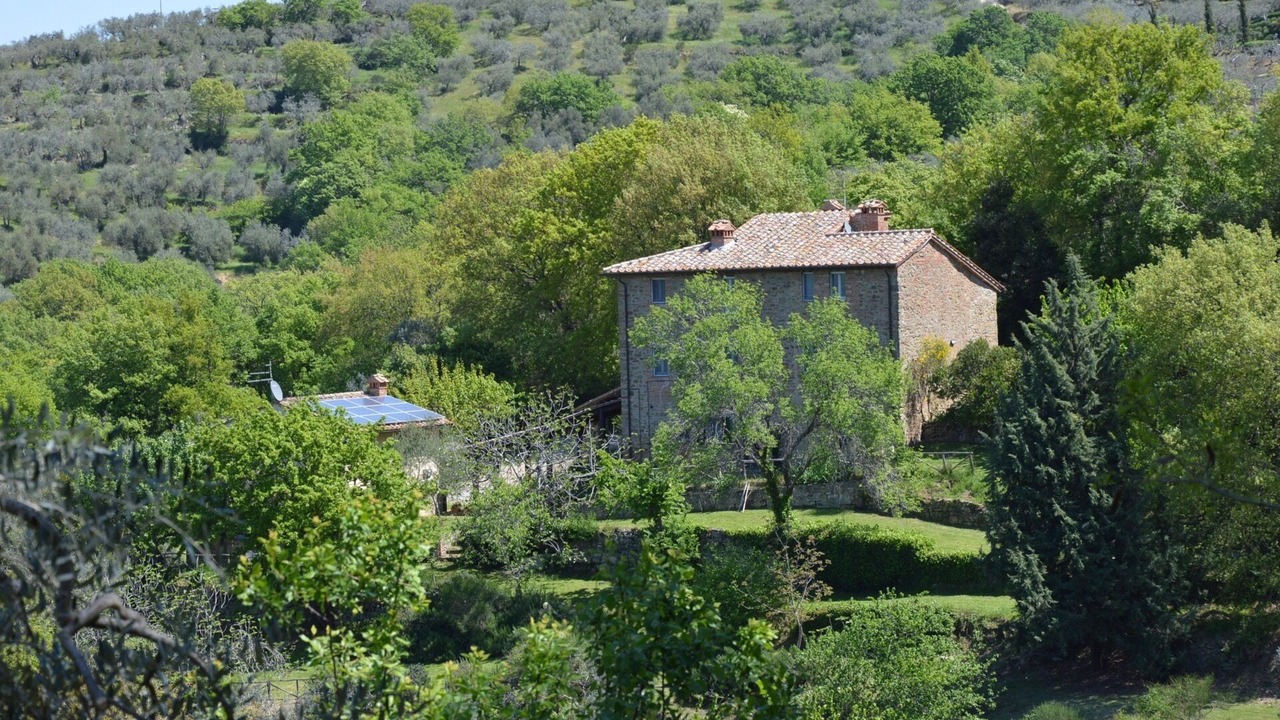 Photo of Others in Paciano