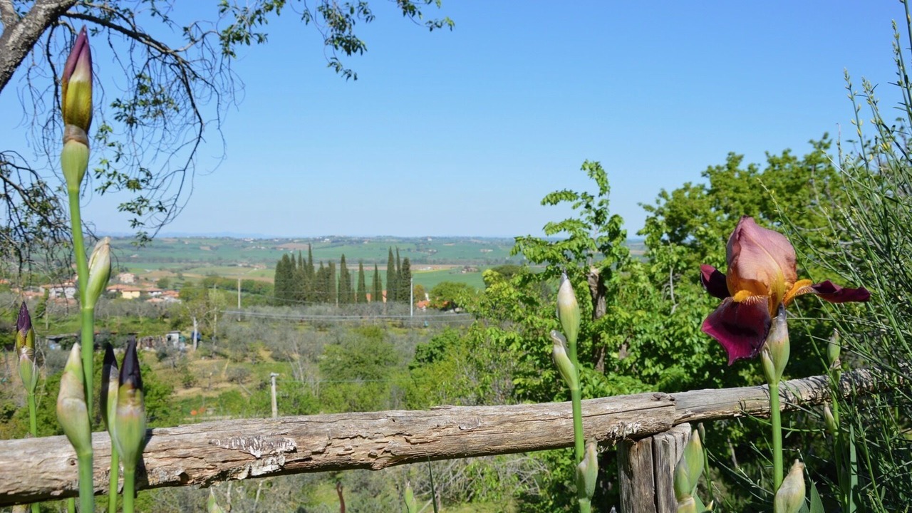 Photo of Others in Paciano