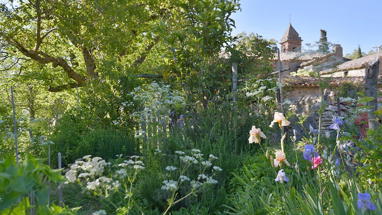 Photo of Outdoor in Vivo dʼOrcia
