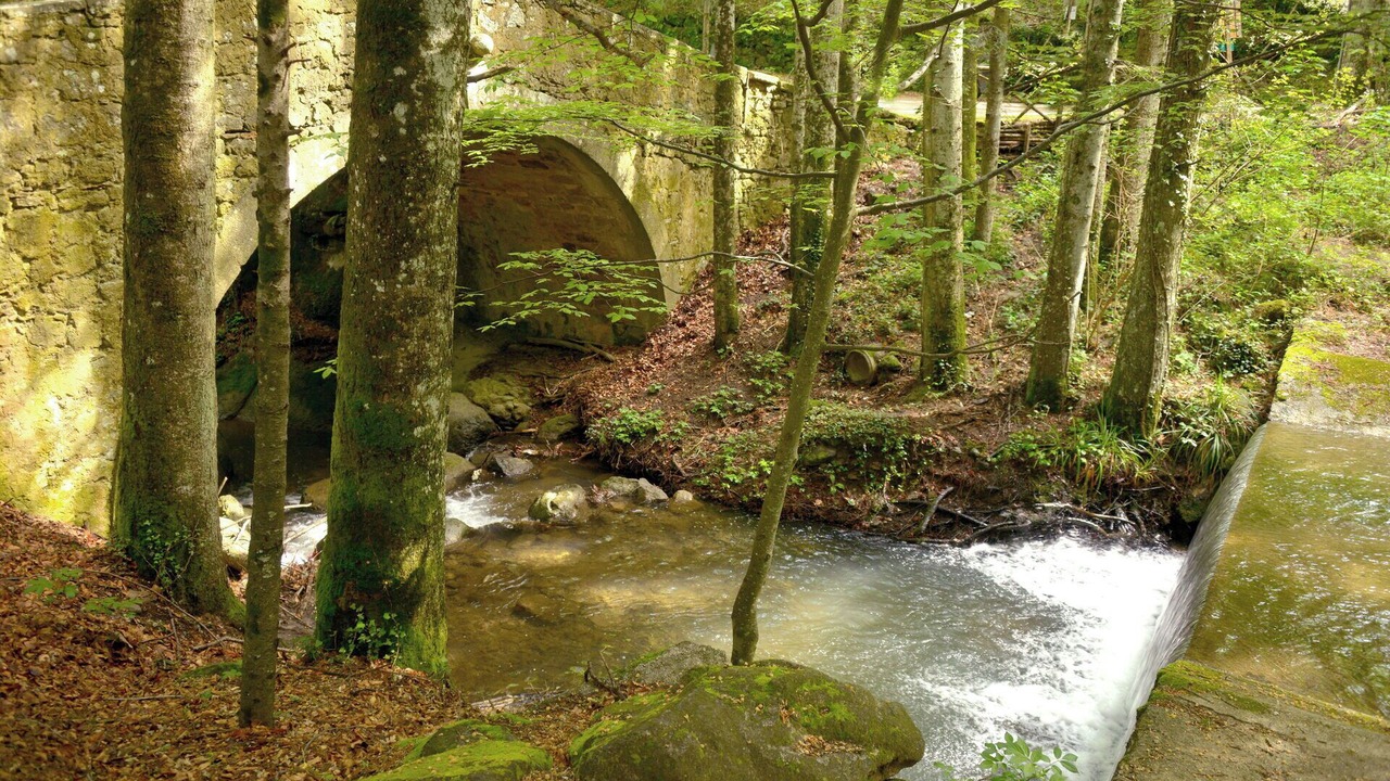 Photo of Outdoor in Vivo dʼOrcia