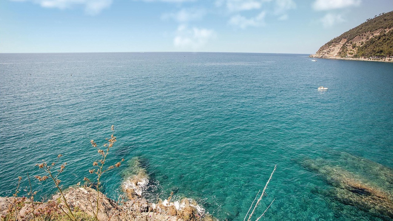 Photo of Others in Moneglia