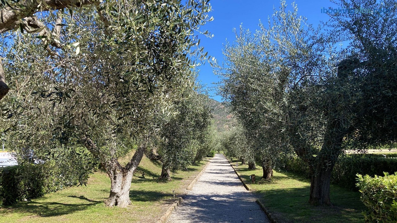 Photo of Outdoor in Bagnaia