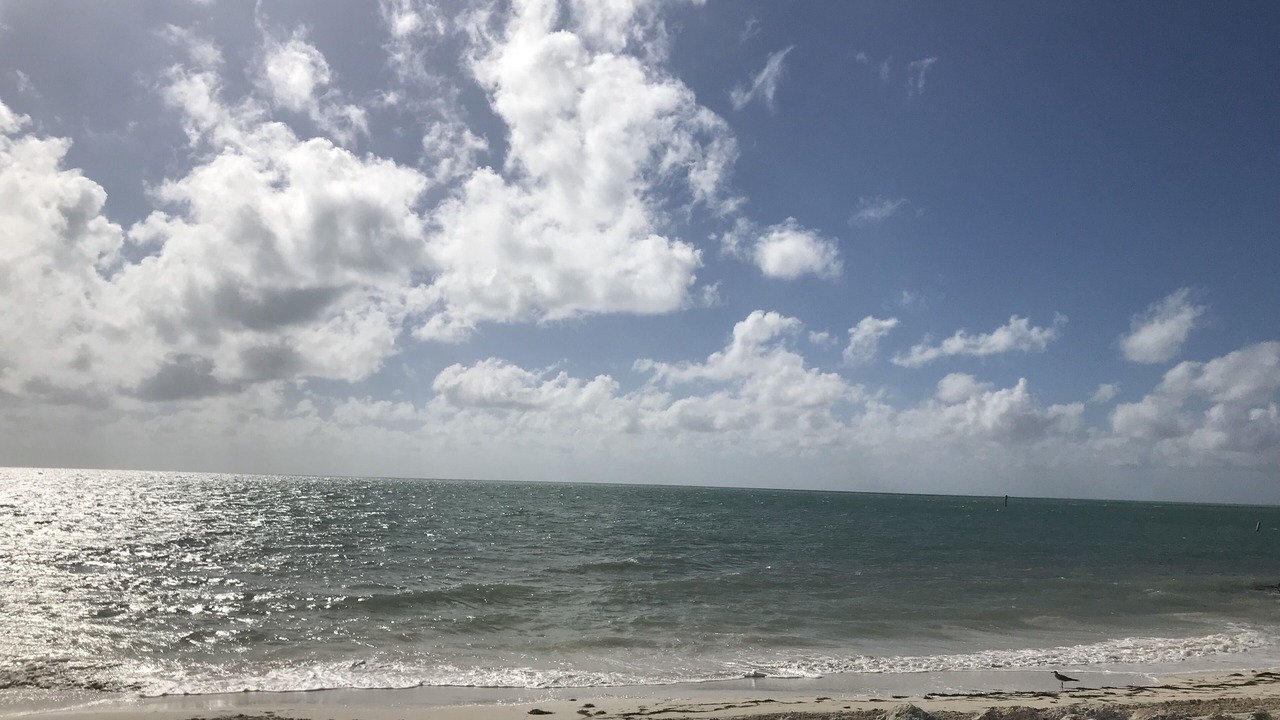 Photo of Others in Key Colony Beach