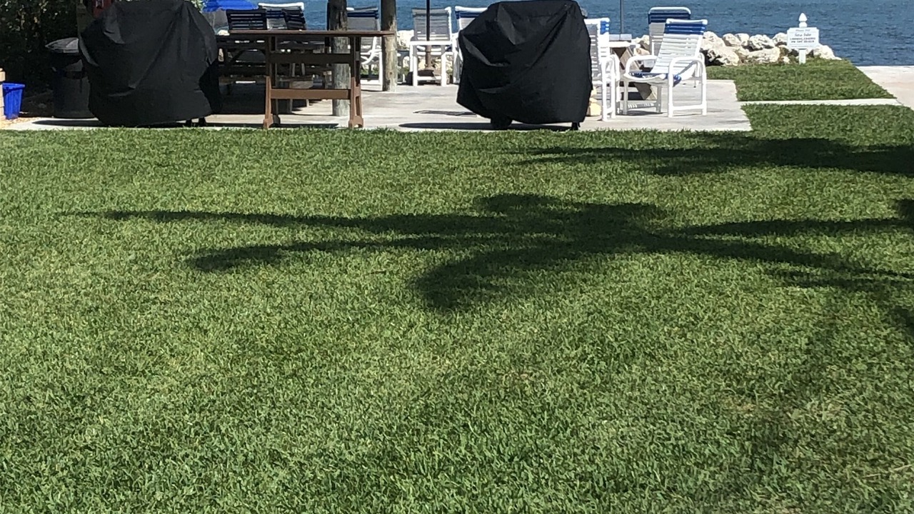 Photo of Others in Key Colony Beach