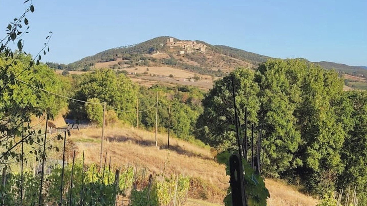 Photo of Outdoor in Montecastelli
